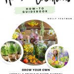 discover the magic of herbs your guide to the best herb garden plants