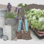unlock the secrets of outdoor herb garden planters discoveries for your herb garden