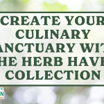 unveil the herb haven discoveries and insights await