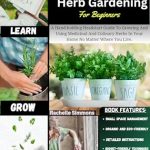 unveiling the secrets of herb garden kits a journey to culinary delights