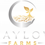 unveiling sustainable farming secrets discoveries from haylow farms