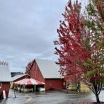 uncover the treasures exploring oregon heritage farms for a richer farm experience