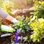 discover your ultimate guide the garden planting calendar for flourishing gardens