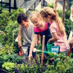 explore gardening mastery at our garden learning center empowering the green thumbed