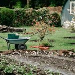 gardening for beginners master the techniques for a thriving garden