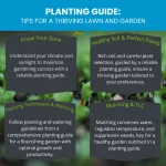 the ultimate garden guide tips and tricks for a thriving garden