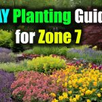 ultimate planting guide for zone 7a your path to a thriving garden
