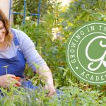 your guide to learning garden academy unlocking the secrets of growing your own food