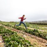 unlock the secrets of sustainable farming at marmon valley farm